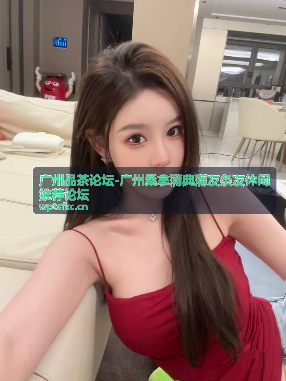 广州品茶论坛品茶推荐帖封面